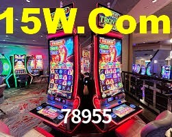 78955.com